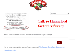 talk to hanna ford survey