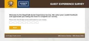 Bagel Experience survey