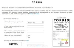 torrid survey